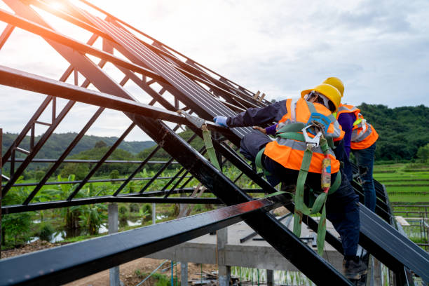 Best Shingle Roofing Installation  in Rockwood, MI