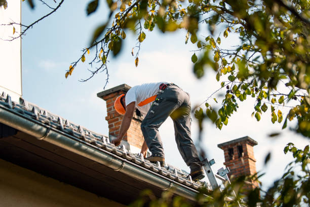 Best Slate Roofing Contractor  in Rockwood, MI