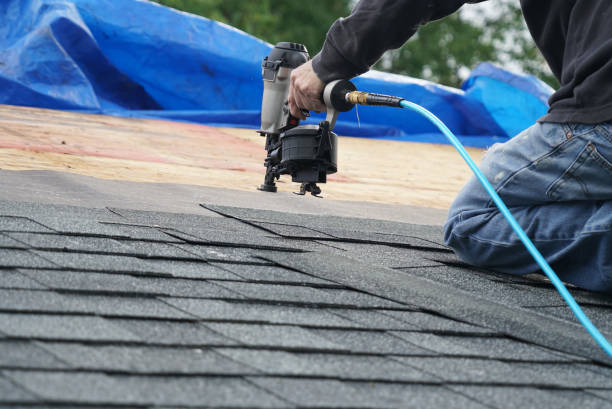 Best Storm Damage Roof Repair  in Rockwood, MI
