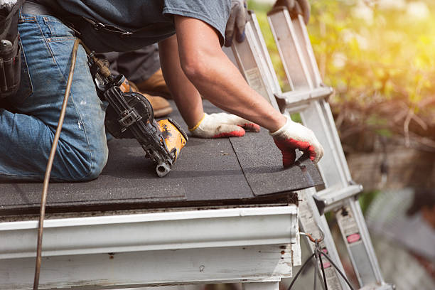 Best Metal Roofing Contractor  in Rockwood, MI