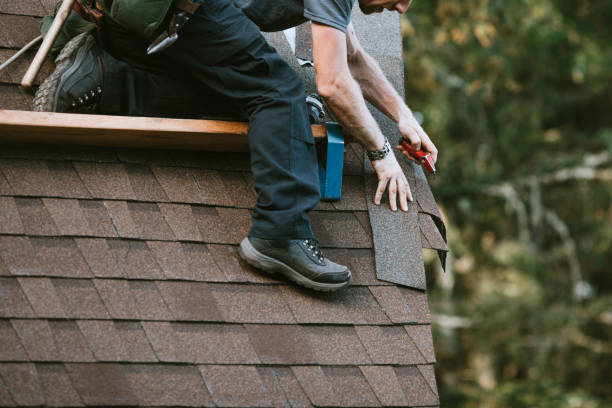 Best Roof Restoration Services  in Rockwood, MI