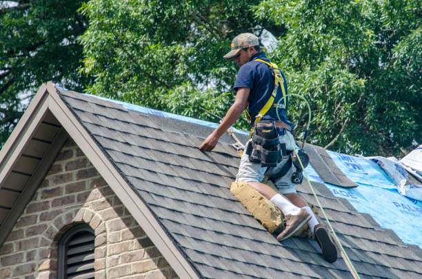 Best Gutter Installation and Roofing  in Rockwood, MI